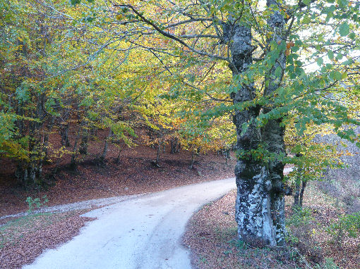 Sentiero natura Valle Soprana a Rofrano