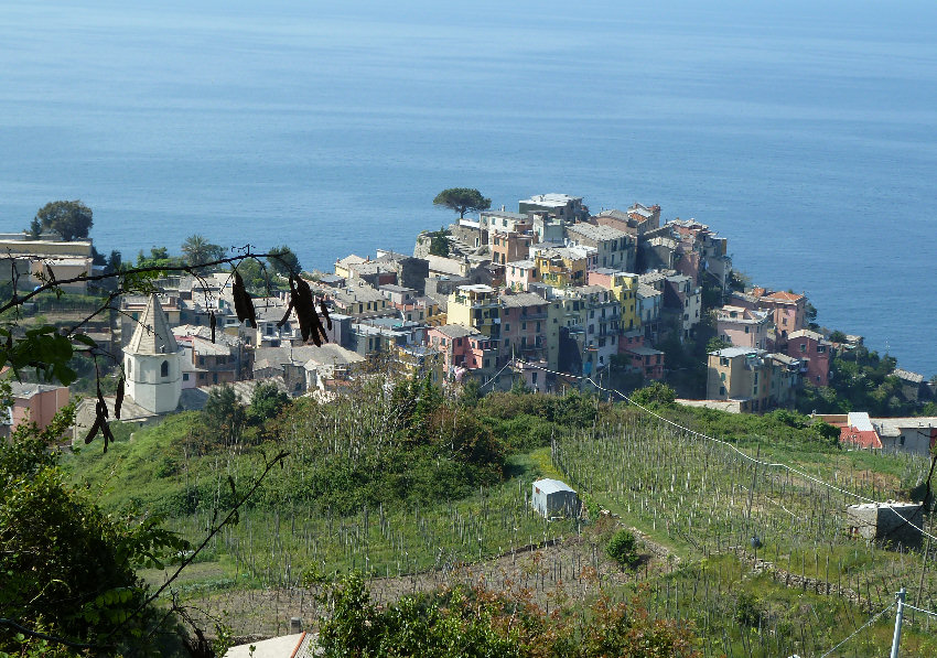 Liguria Corniglia
