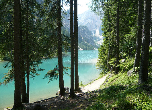 Vegetazione Lago di Braies