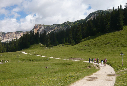 Inizio percorso trekking Fodara-Sennes-RaStua