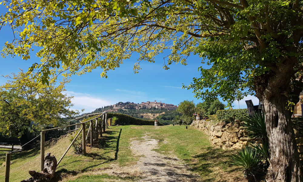 Veduta del borgo di Montepulciano