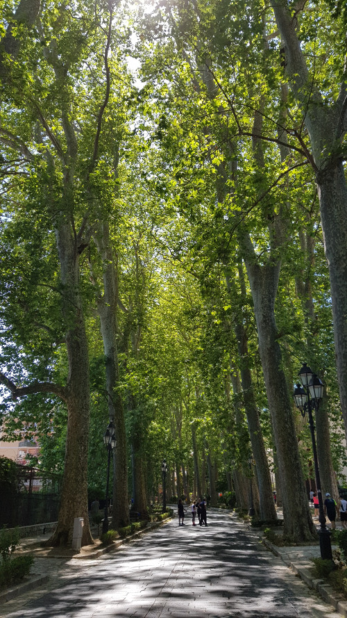 Mercogliano Viale Modestino