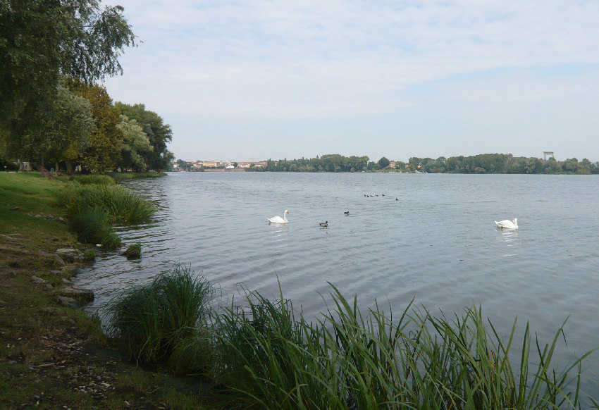 Laghi_di_Mantova