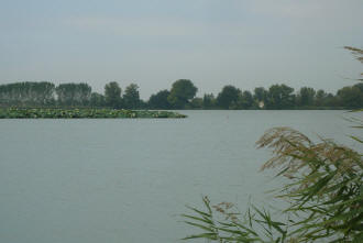 Foto del Lago_Superiore_di_Mantova