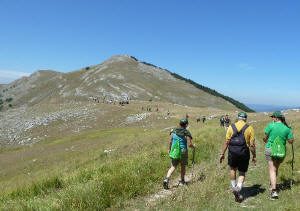 Marciatori del Cammina Molise