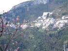 Poggerola (frazione di Amalfi)