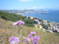 Veduta di Pozzuoli dal Monte Nuovo