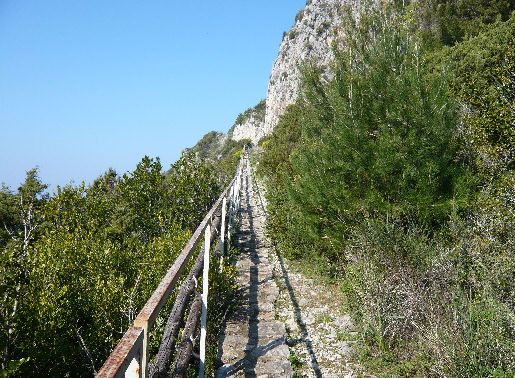 Sentiero dei Fortini con macchia mediterranea