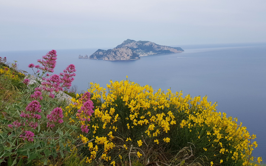 Foto di Capri vista dalla Punta Campanella