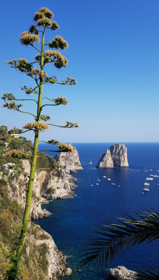 Panorama dai Giardini_di_Augusto Capri