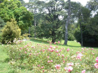 Giardino inglese della Reggia di Caserta