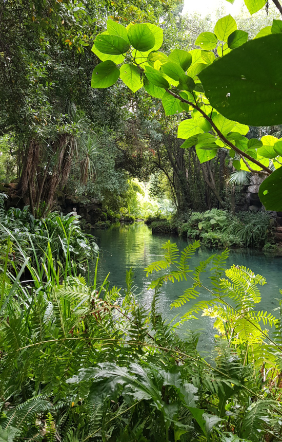 Fiume del Giardino_inglese Reggia Caserta