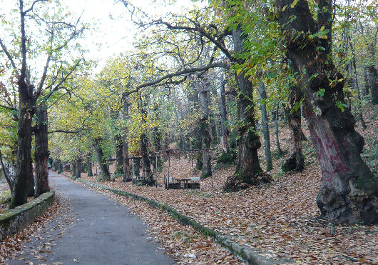 Area picnic dei boschi di Quisisana