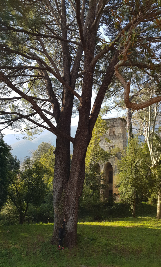 Parco Reggia di Quisisana Castellammare_di_Stabia