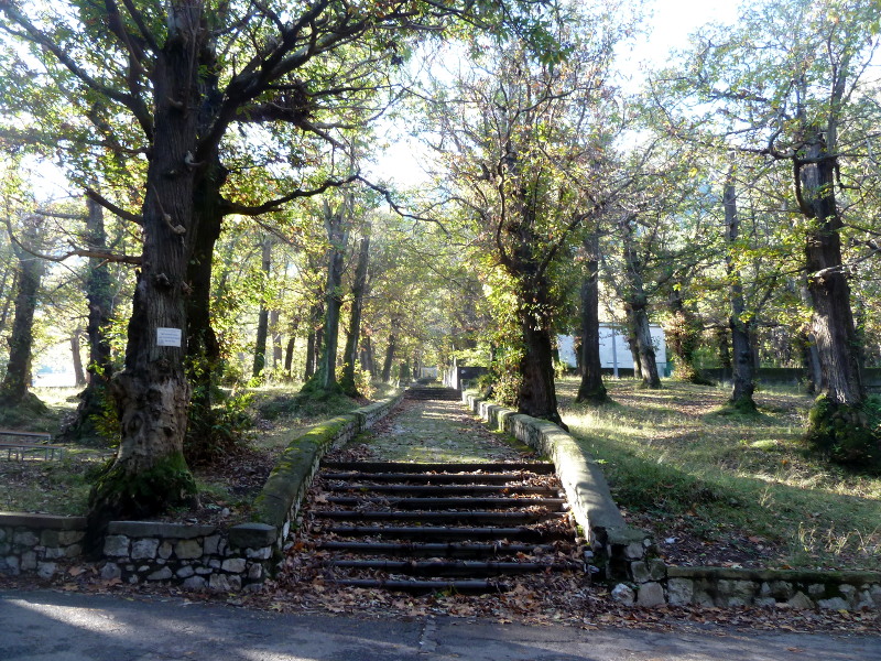 Foto Bosco Quisisana di Castellammare di Stabia