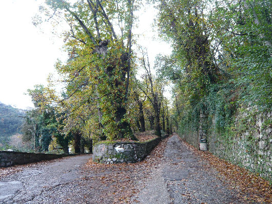 Strada dei Boschi di Quisisana