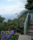 Panorama con fiori da Conca dei Marini