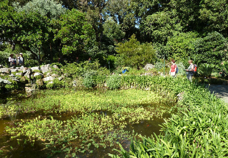 Foto Giardino botanico La Mortella