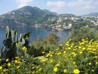 Ischia vista dal sentiero del Sole del Castello aragonese