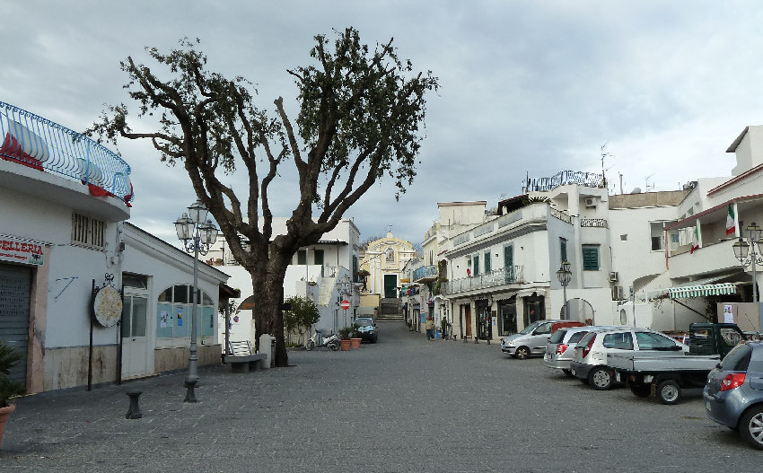 Panza_Ischia