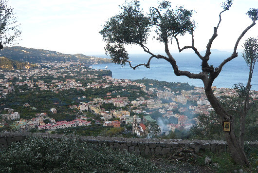 Veduta di Meta dai colli di Alberi