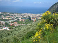 Meta vista dalla frazione di Alberi