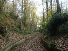 Parco urbano dei Camaldoli di Napoli