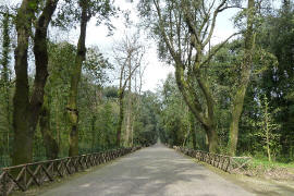 Viale_centrale del Parco di Capodimonte