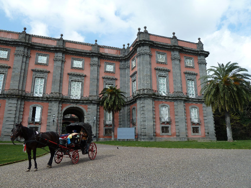 Reggia_di_Capodimonte