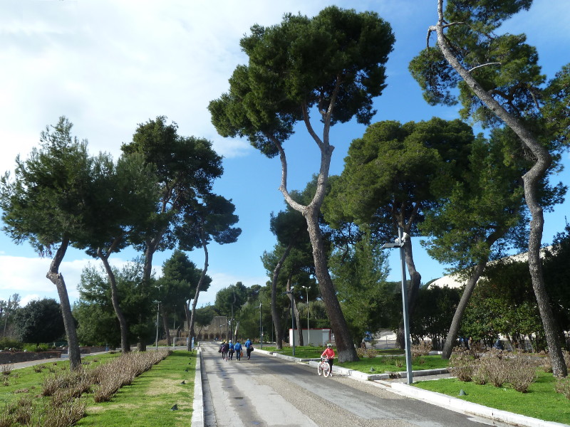 Mostra d'ltremare di Napoli Viale delle Ortensie