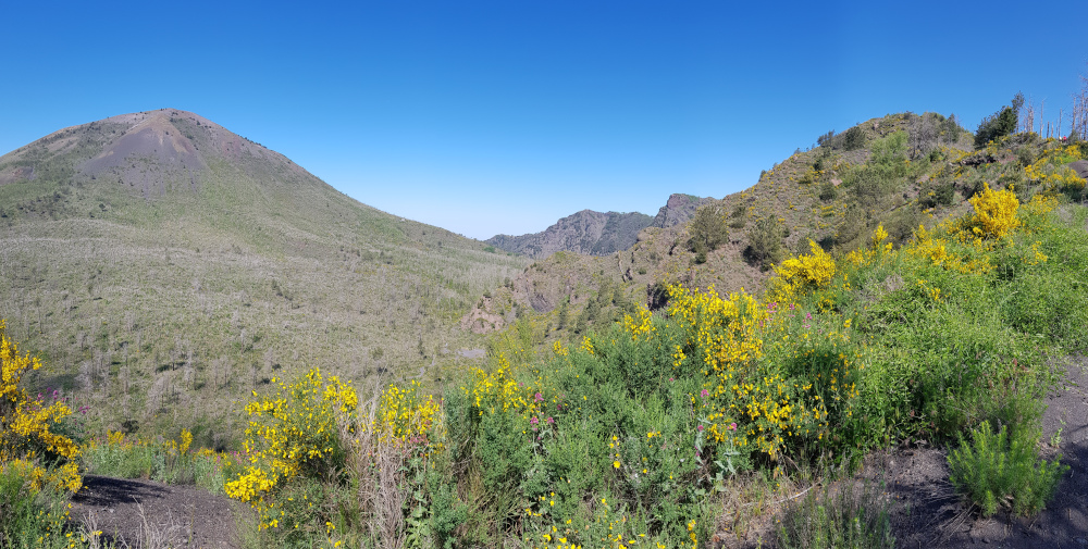 Cono del Vesuvio e Cognoli di Ottaviano