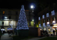 Albero di Natale 2009 Piano di Sorrento