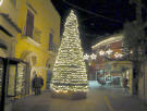 Albero di Natale al quartiere dei Mulini