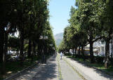 Viale alberato adiacente il lungomare