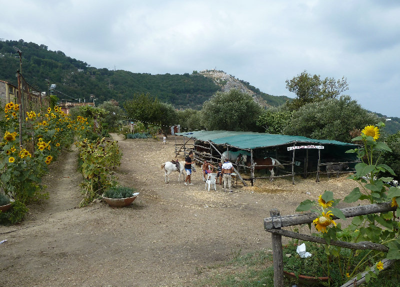 Sagra Colli_Fontanelle giardino con fattoria animali