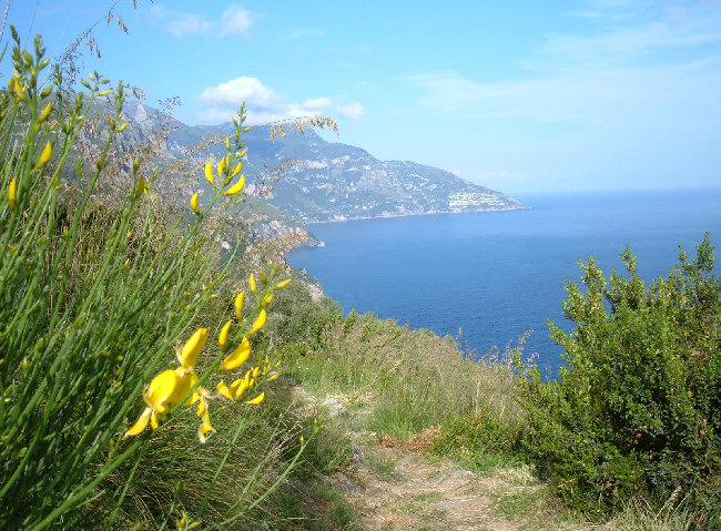 Sentiero per la Punta di Sant'Elia