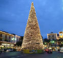 Albero di Natale 2007