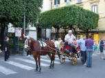 Carrozzella di Sorrento