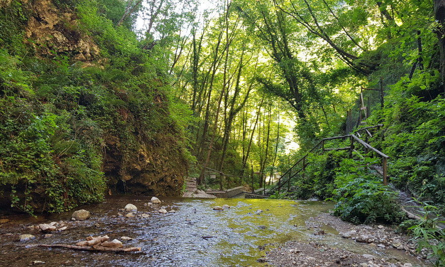 Valle delle Ferriere di Amalfi