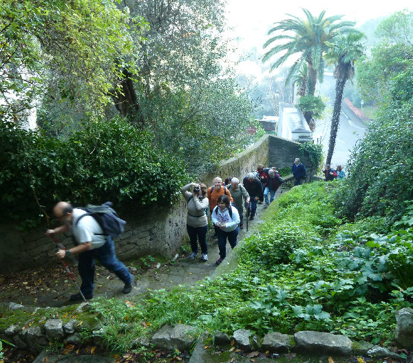 Salita del Monte Sant'Antonio Sorrento