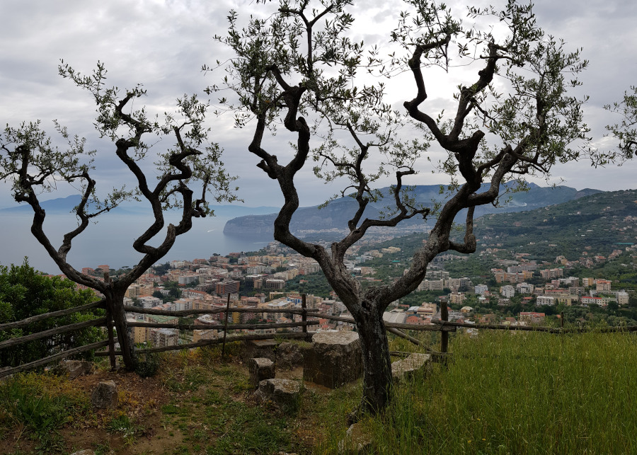 Sorrento Belvedere Cacciatori