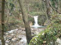 Vallone delle Ferriere - Ruscello