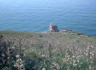 Torre saracena e faro della Punta Campanella