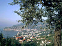 Sorrento con punta Scutari