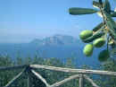 Capri vista dalla Punta Campanella