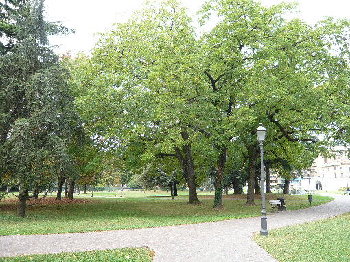 Viale dell'Ippodromo