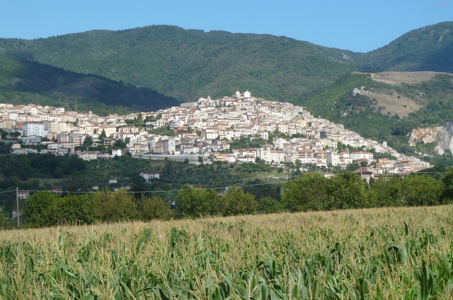 Padula