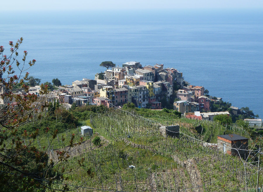 Corniglia delle CinqueTerre