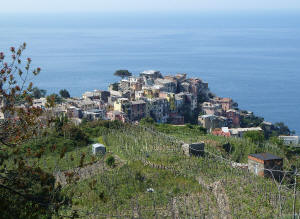 Corniglia delle Cinque_Terre