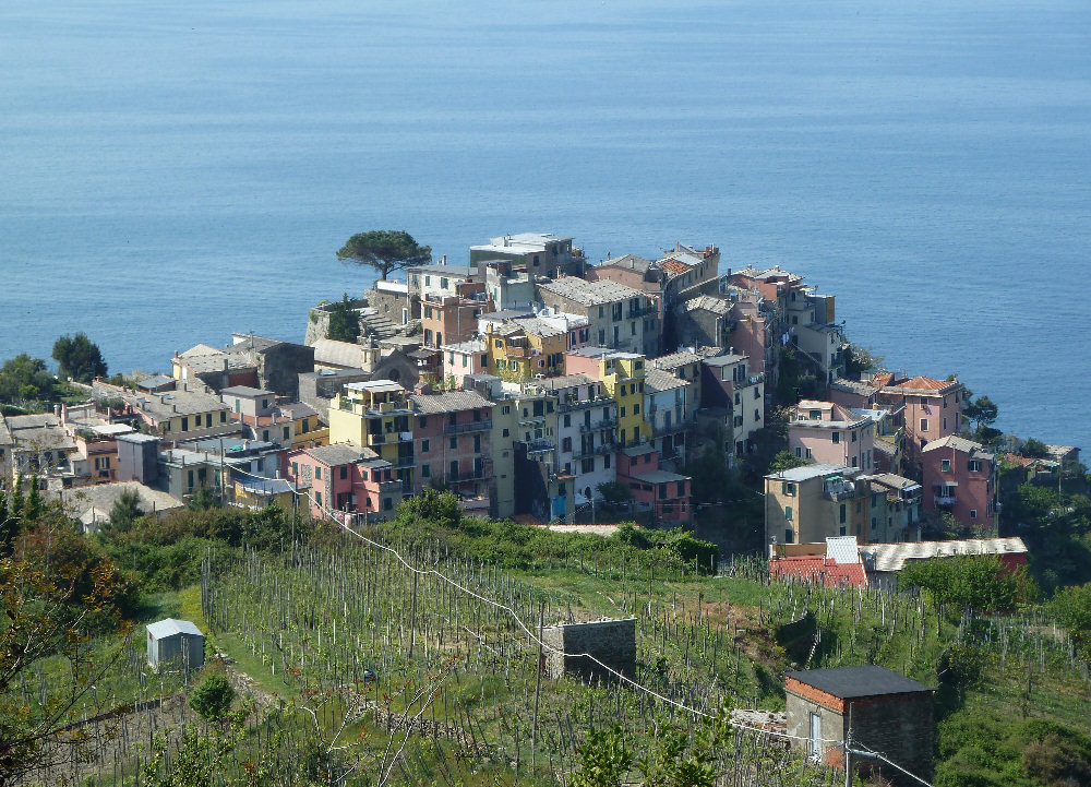 Corniglia